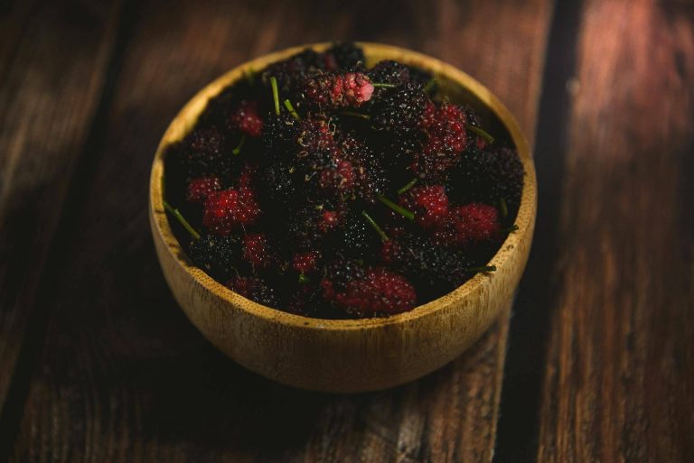 Ep.037 Medicinal Magic of Mulberries